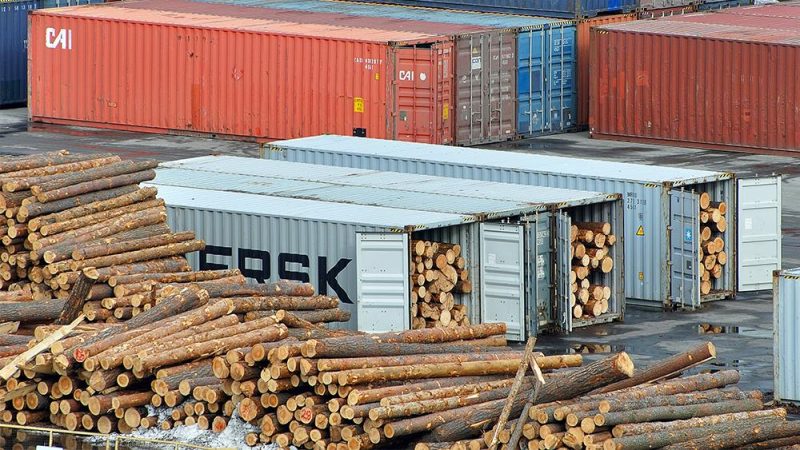 Timber import volumes ‘fractionally ahead’ of 2023